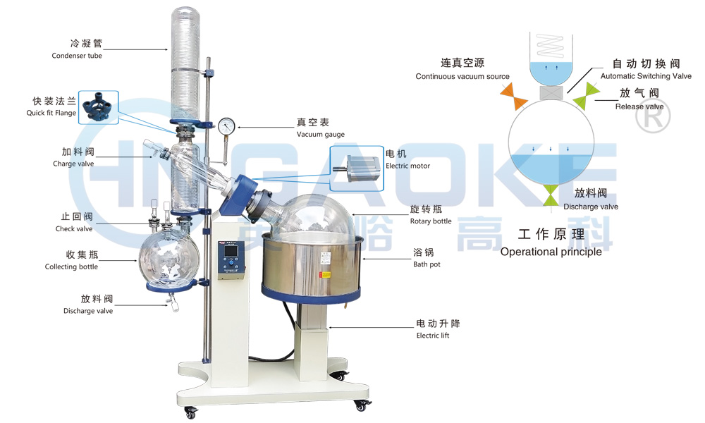 1618813723139182.jpg 2021-0419-5.jpg